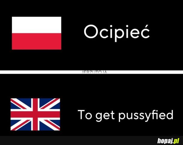 Ocipieć