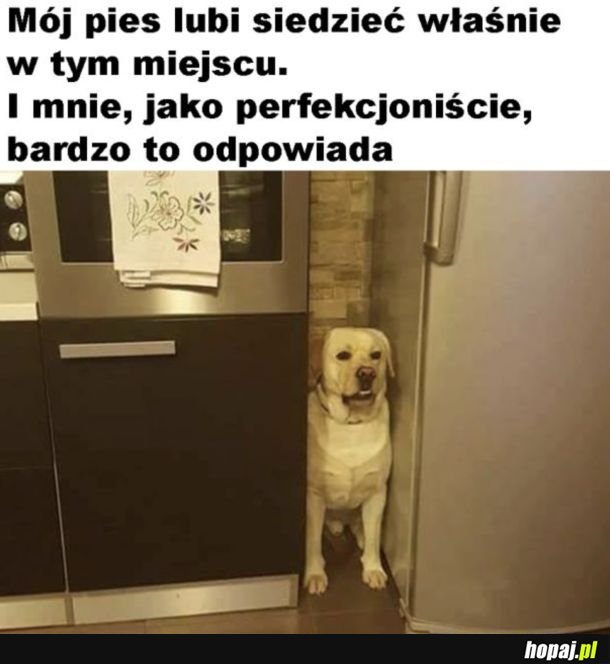 Idealnie
