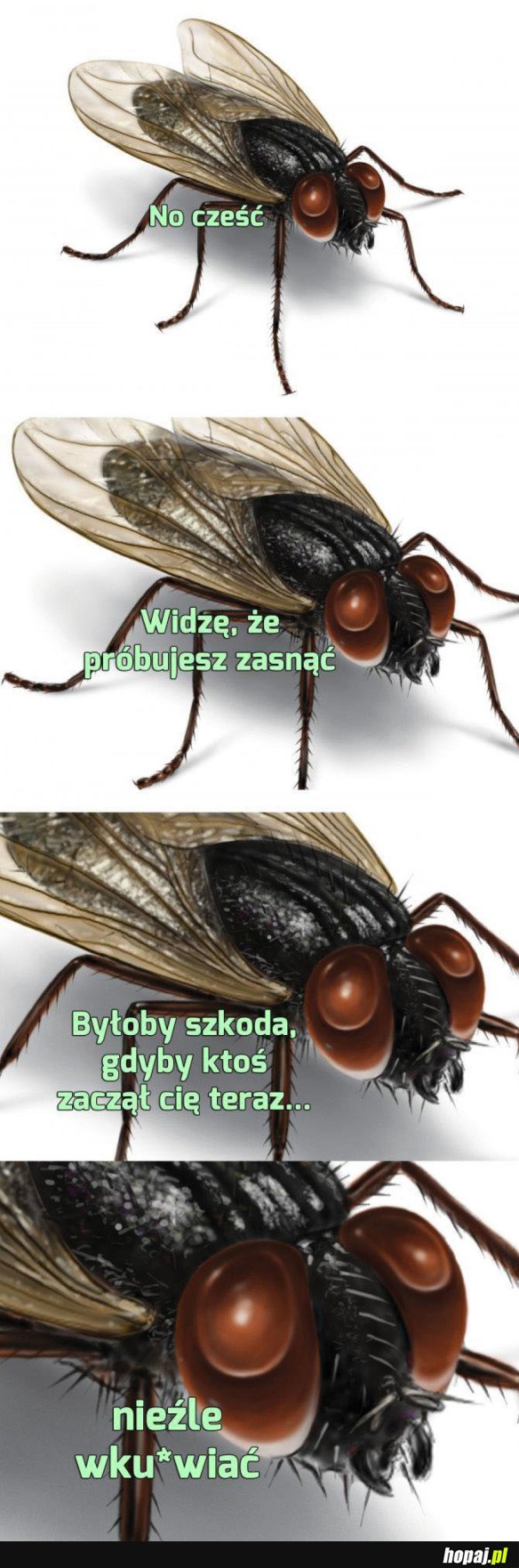 KTO TĘSKNIŁ?