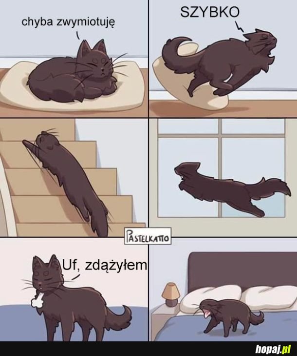 Zdążył xd