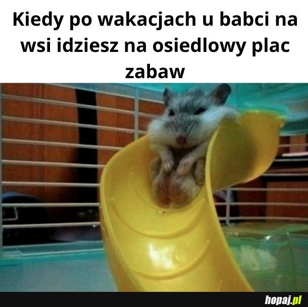 Troszkę się przytyło