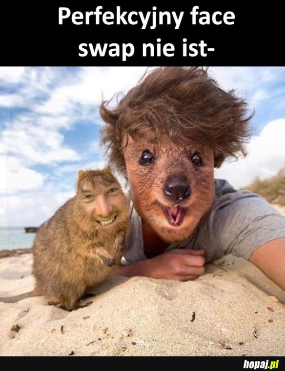 Face swap