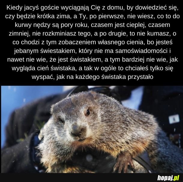 Ludzie są jednak głupi