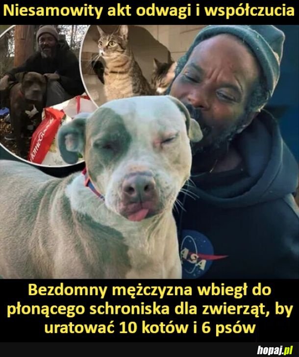 Ogromny szacunek dla tego bezdomnego