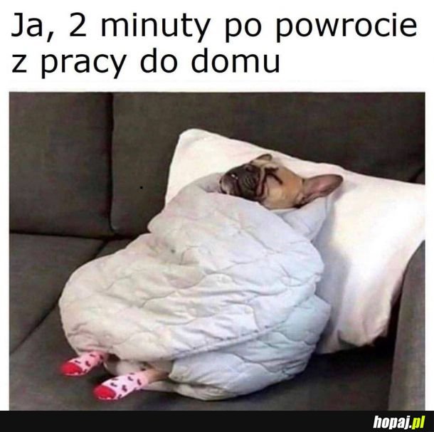 Ja po pracy