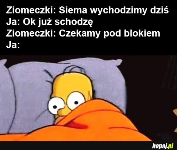 Ziomki