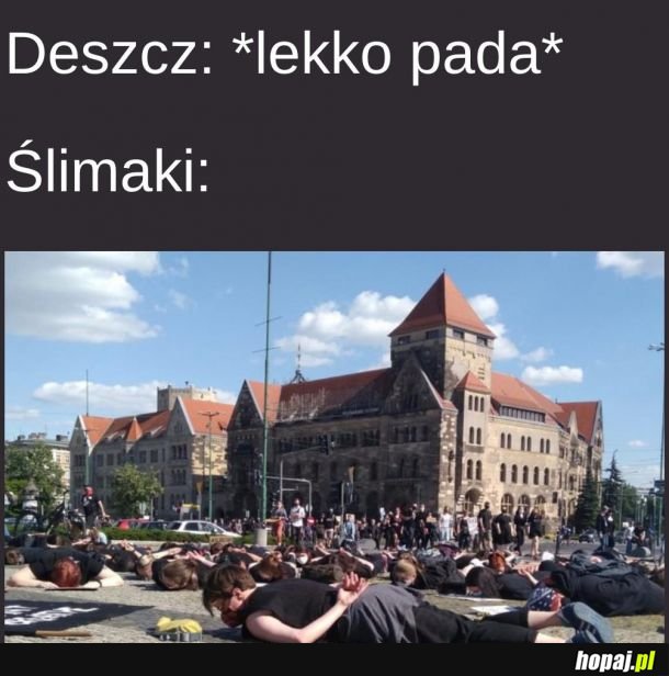 Ślimaki takie są