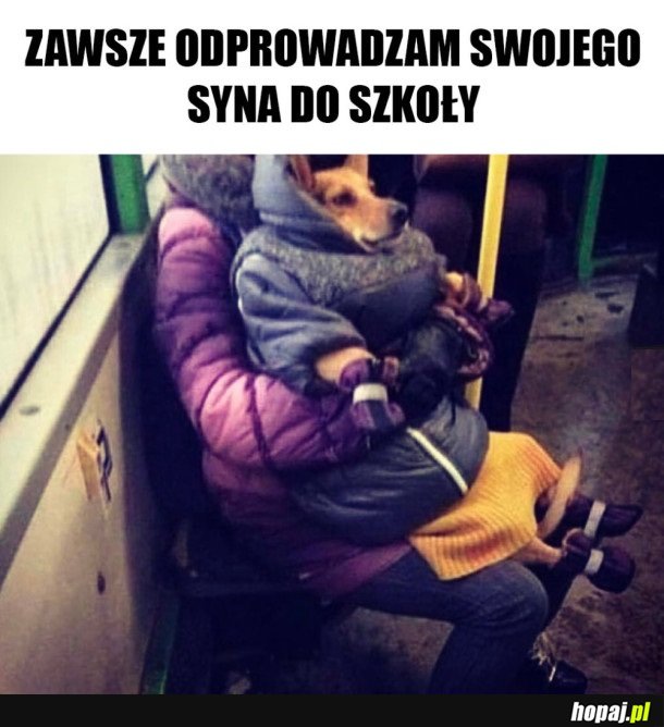 ODPROWADZAM SYNKA DO SZKOŁY