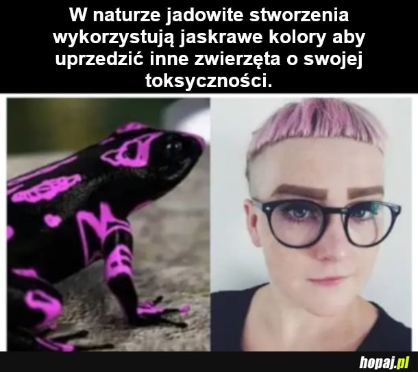  przyroda 