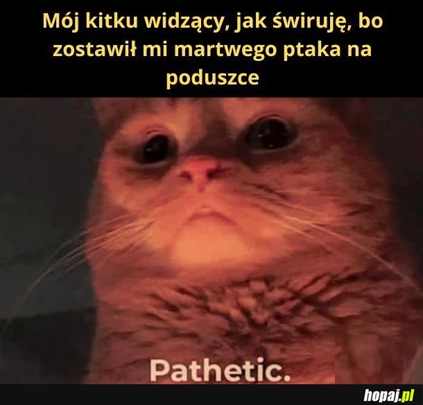 To był prezent, Grażyna!