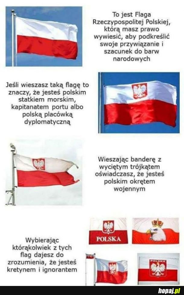 Ciekawostaki o fadze Polski