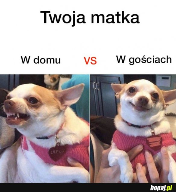 Tak jest