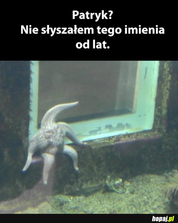 PATRYK