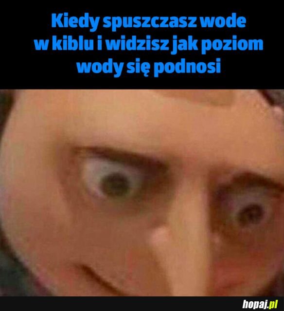 Kurde przypał