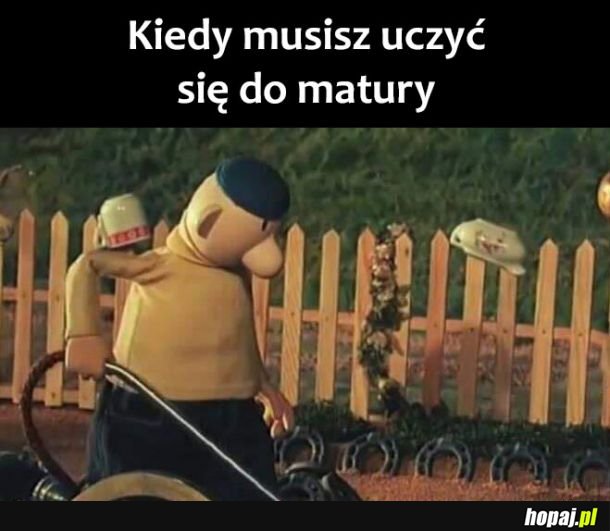 Wszystko ważniejsze 