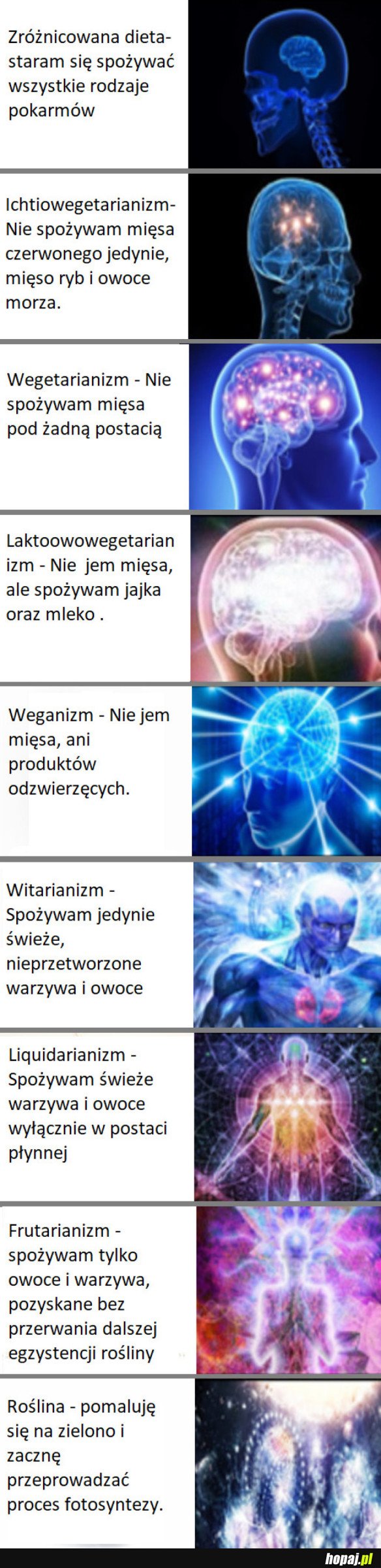 WEGANIE, ZAKOŃCZCIE TO NIM BĘDZIE ZA PÓŹNO!