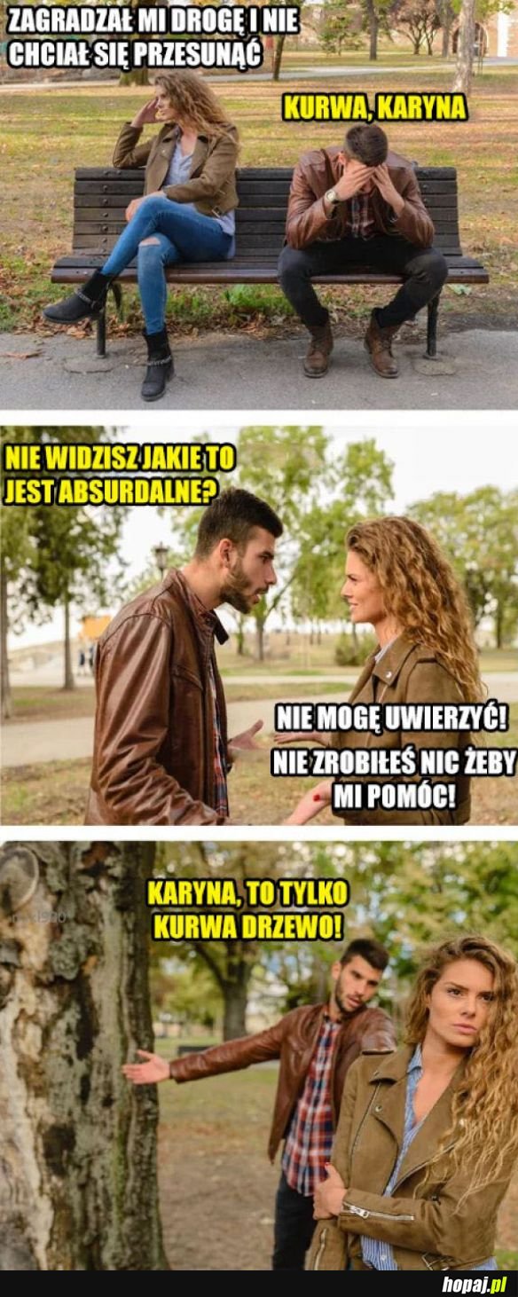 Co ta Karyna