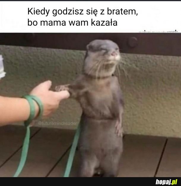 Z mamą się nie dyskutuje