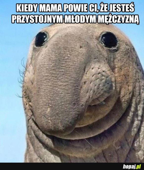 DZIĘKUJĘ MAMO