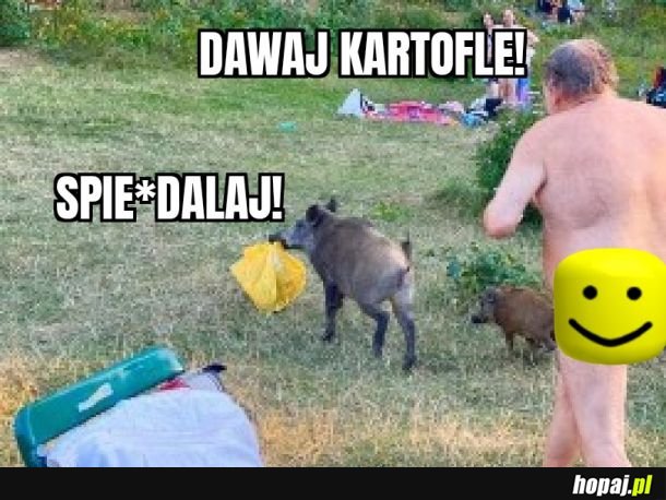 Kartofle