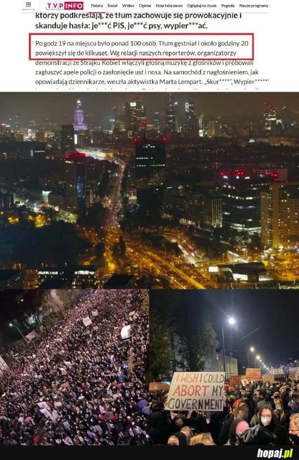 Tak wygląda sto osób wg. TVPiS..