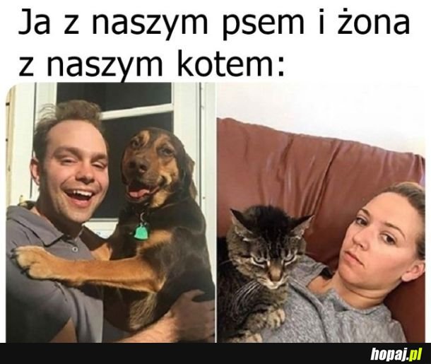 Fotka