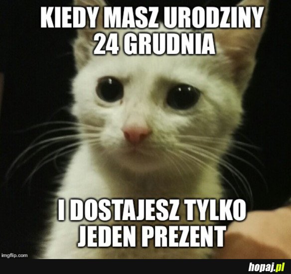 SMUTNY KOTEŁEK