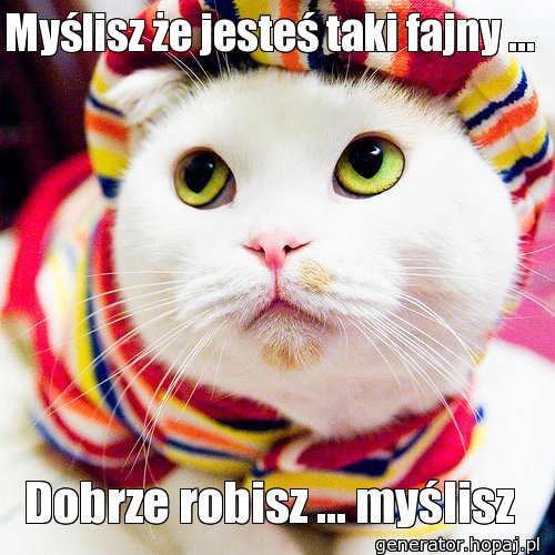 Myślisz że jesteś taki fajny ... 