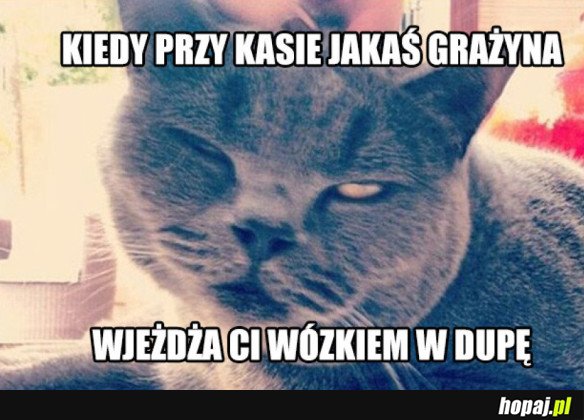 Grażyna