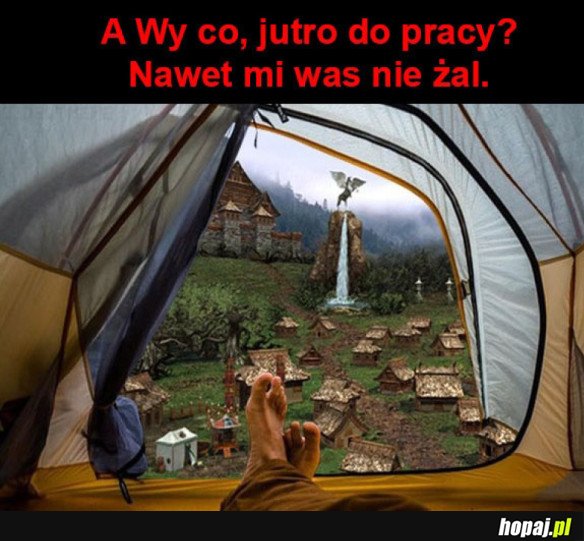 A Wy praca?