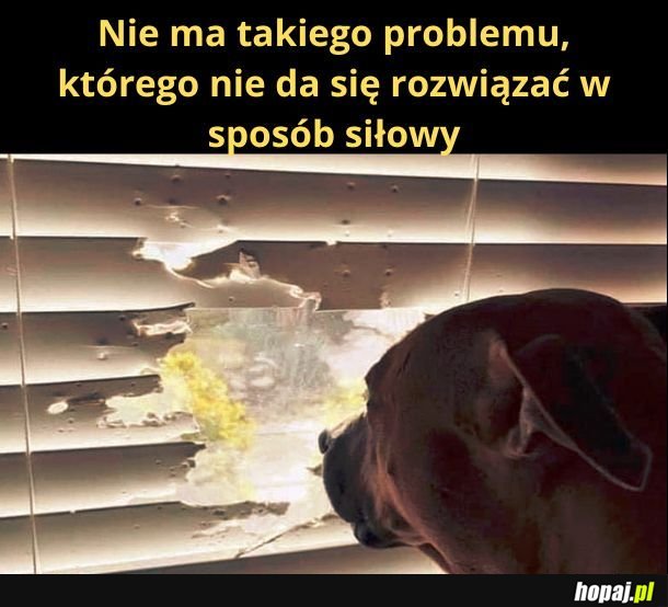 Nie ma.