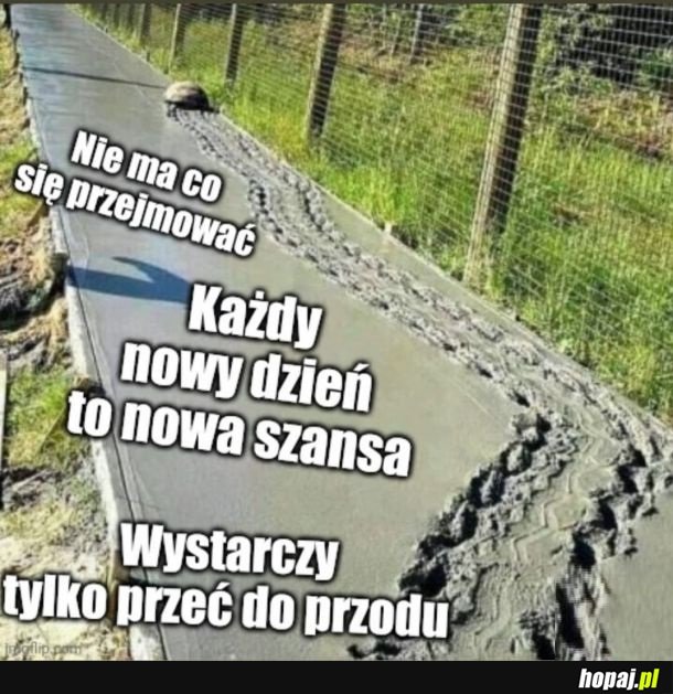 Byle do przodu
