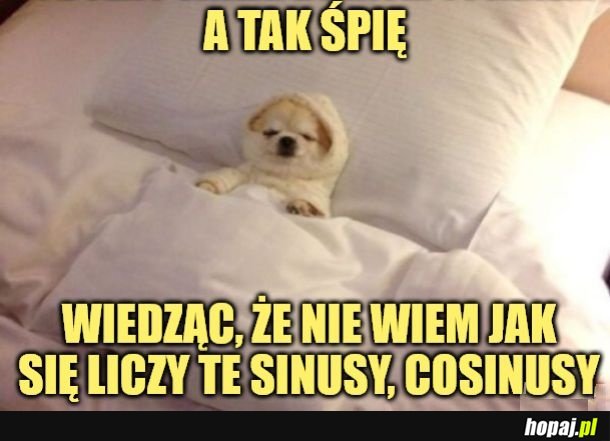 Spanko.