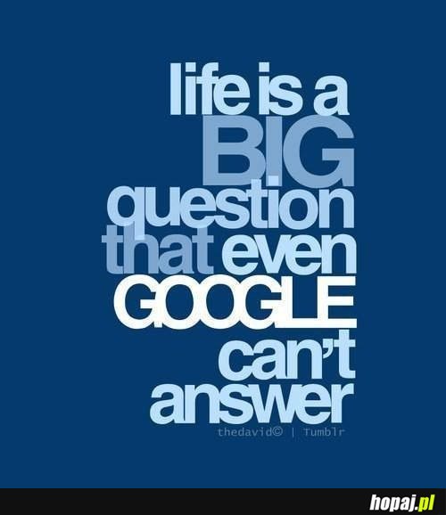 Life is a BIG question