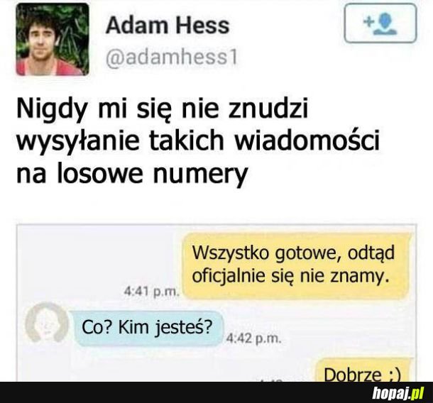 Losowe wiadomości