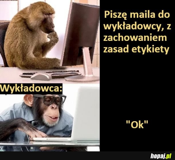 Mail do wykładowcy