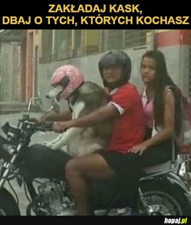 Hierarchia