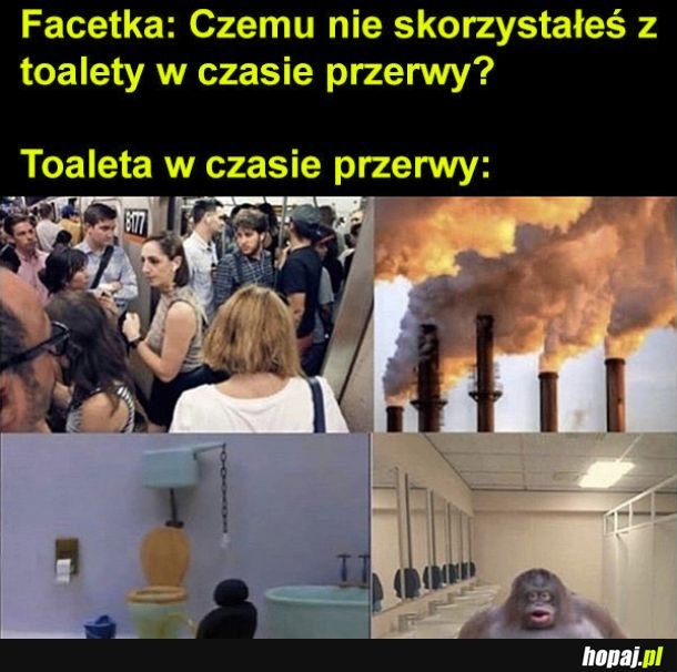 Toaleta szkolna