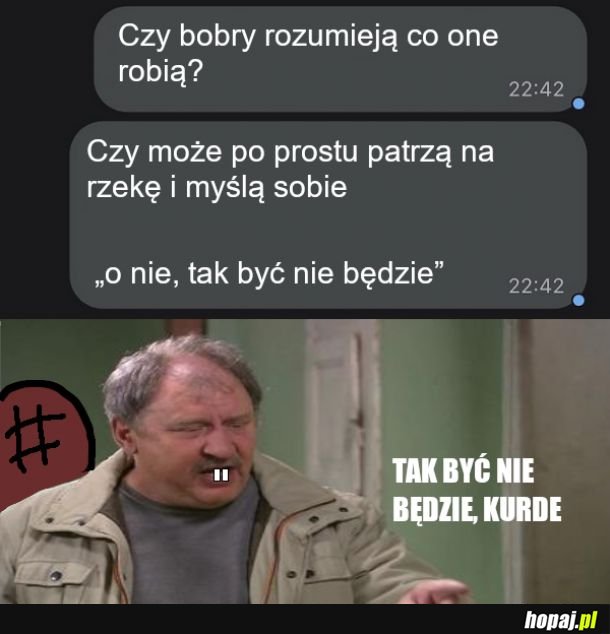 Budowanie tamy