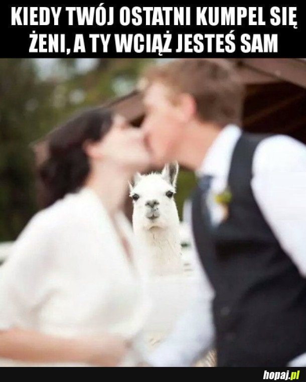 FOREVER ALONE