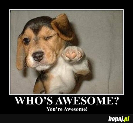 Who's awesome?