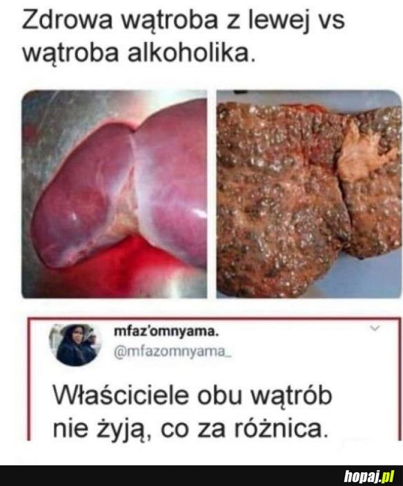 Co z różnica