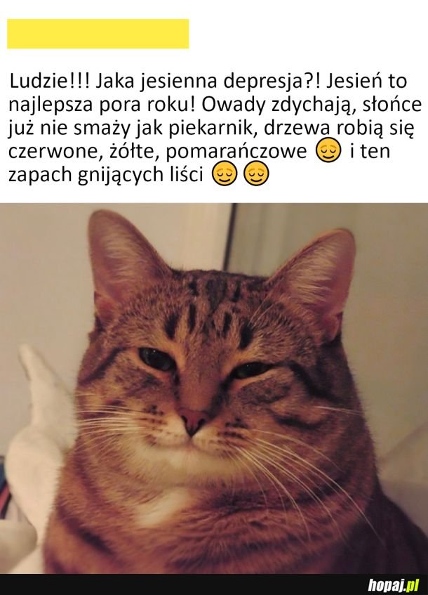 Jesień
