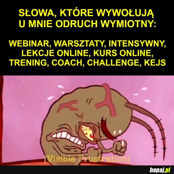 Rzygam jak słyszę te słowa