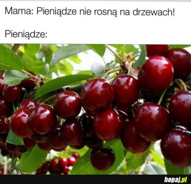 Pieniądze