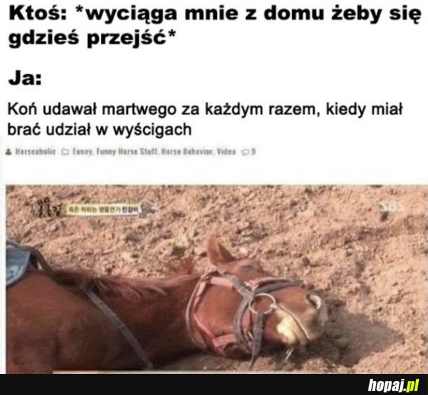 Za każdym razem