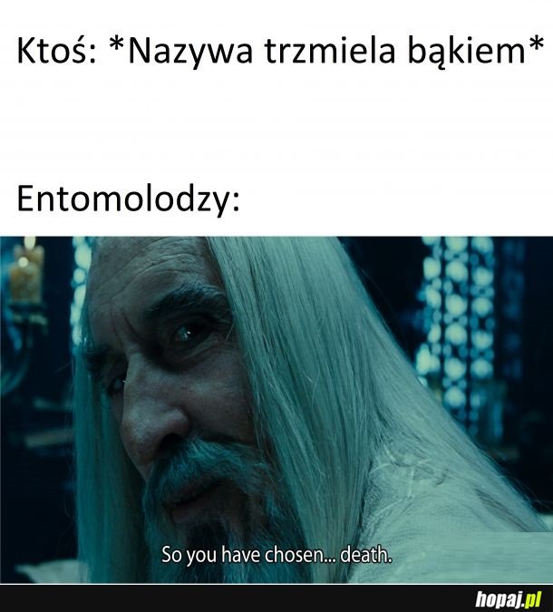 Entomolodzy to drażliwi ludzie