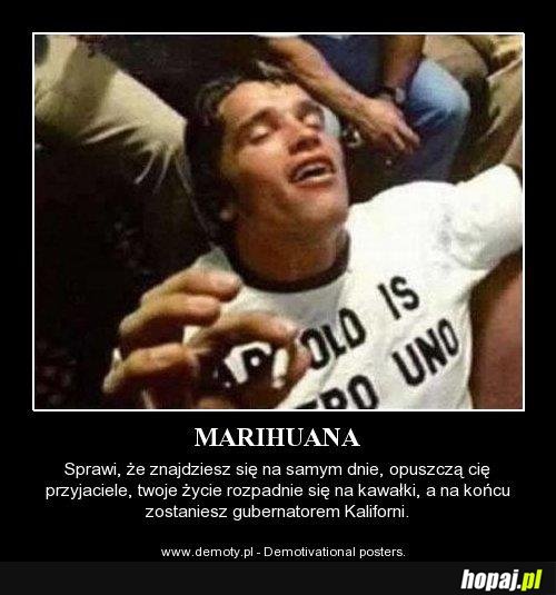 Marihuana