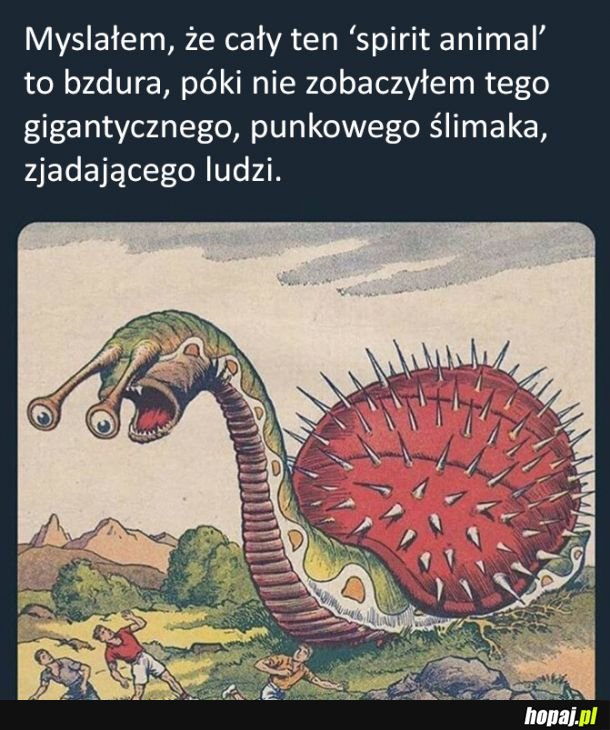 Zwierzę duchowe