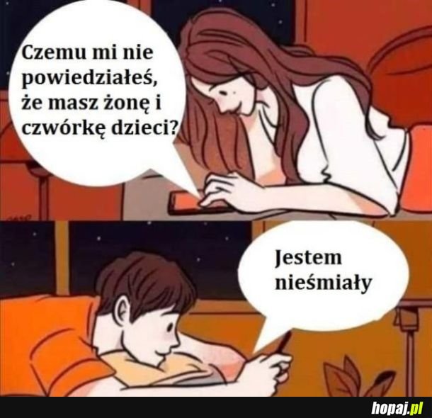 Nieśmiały gość